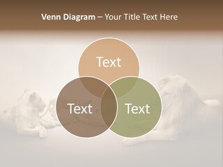 Hunter Creative Aggressive PowerPoint Template