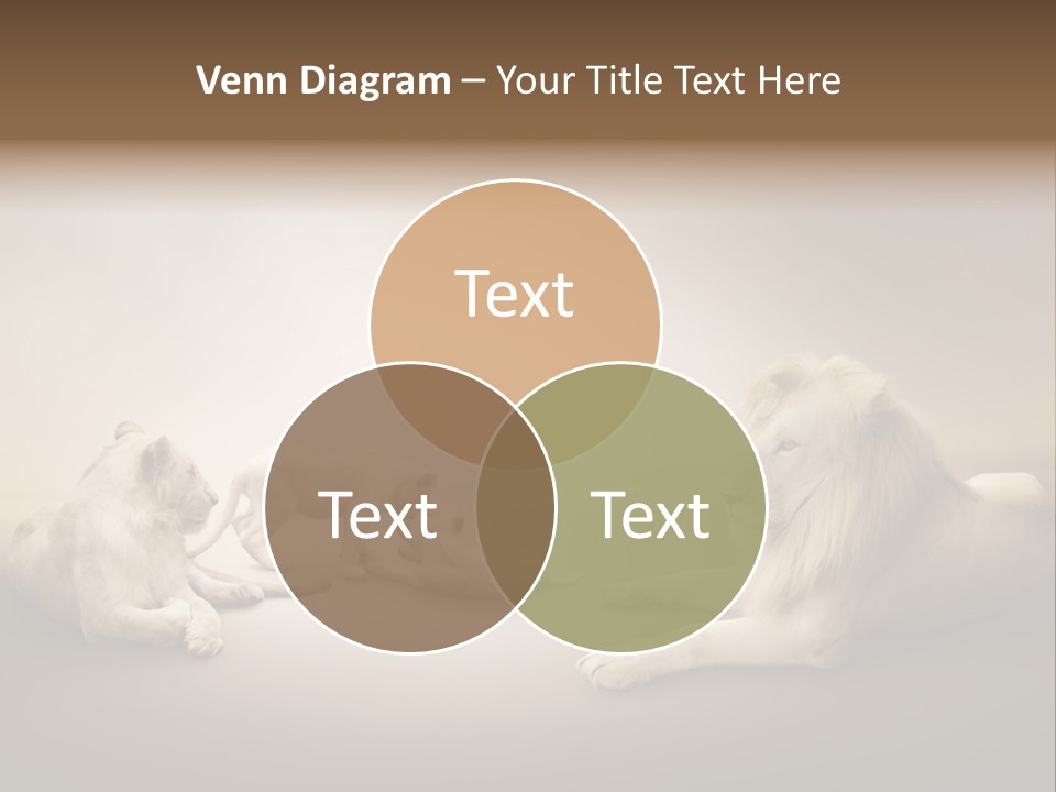 Hunter Creative Aggressive PowerPoint Template