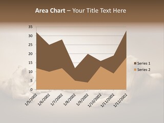 Hunter Creative Aggressive PowerPoint Template