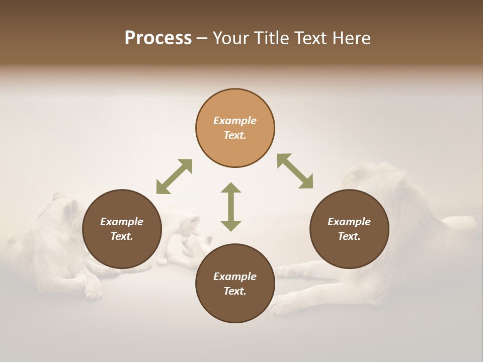 Hunter Creative Aggressive PowerPoint Template