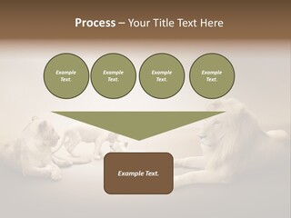 Hunter Creative Aggressive PowerPoint Template