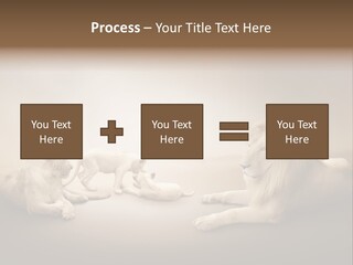 Hunter Creative Aggressive PowerPoint Template