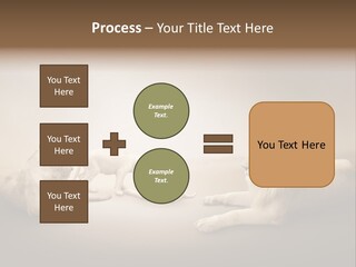 Hunter Creative Aggressive PowerPoint Template