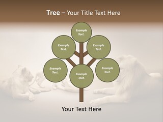 Hunter Creative Aggressive PowerPoint Template
