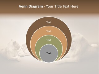 Hunter Creative Aggressive PowerPoint Template