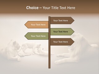 Hunter Creative Aggressive PowerPoint Template