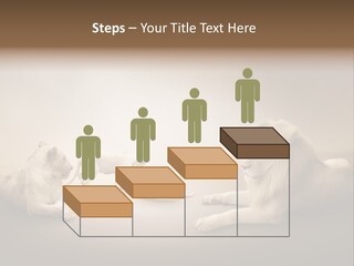 Hunter Creative Aggressive PowerPoint Template