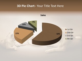 Hunter Creative Aggressive PowerPoint Template