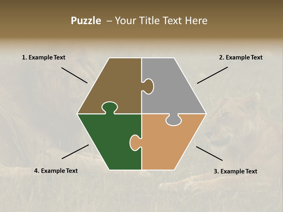 Cacciatrice Leoni PowerPoint Template