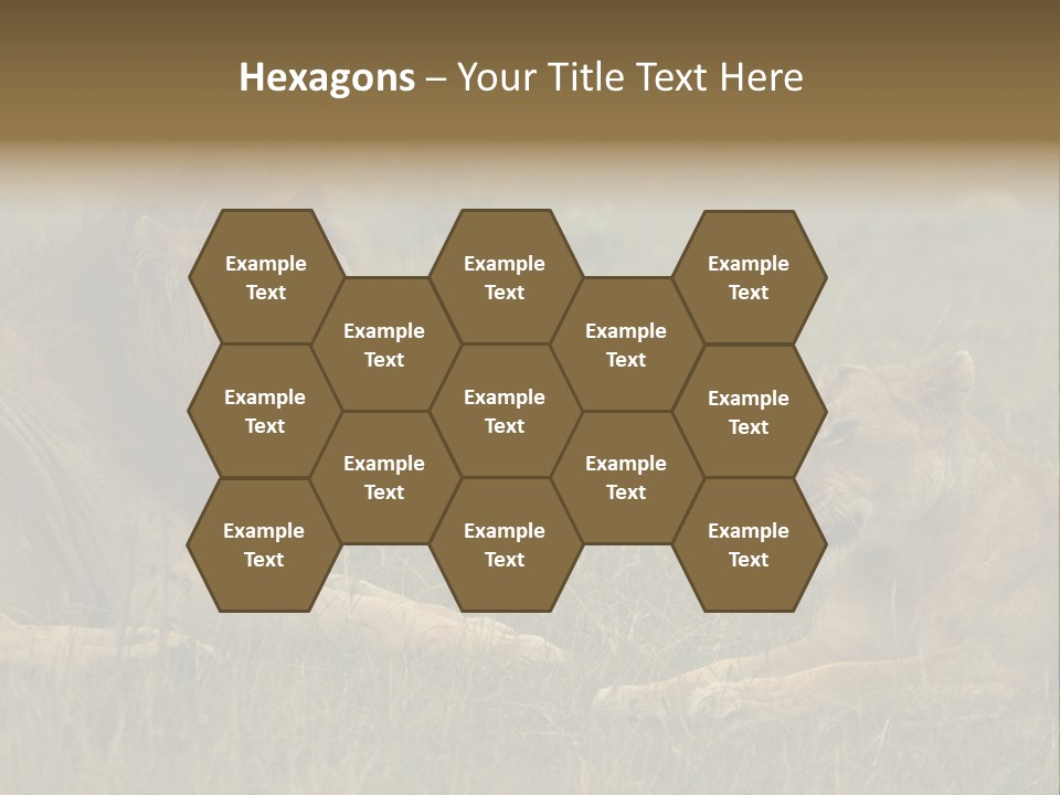 Cacciatrice Leoni PowerPoint Template