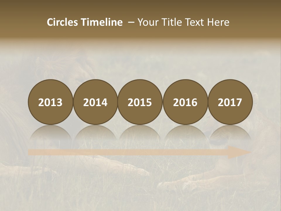 Cacciatrice Leoni PowerPoint Template