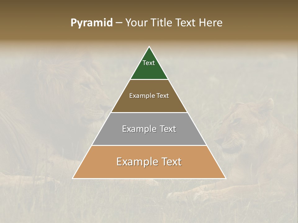 Cacciatrice Leoni PowerPoint Template