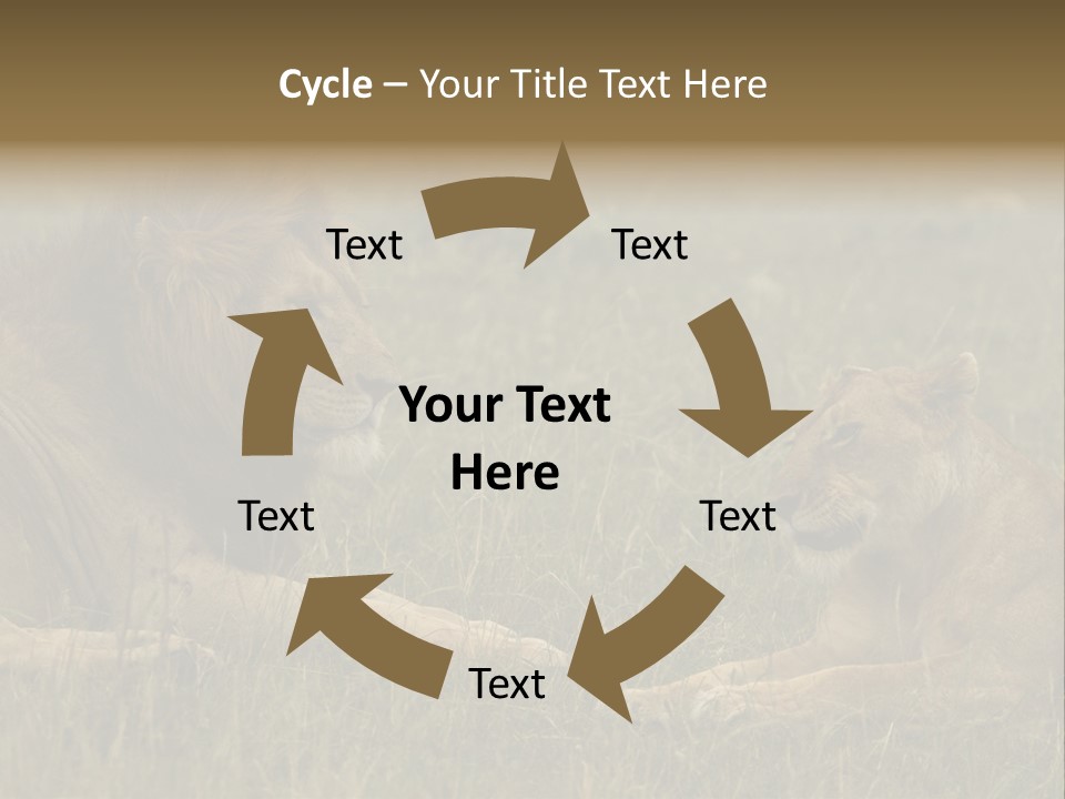 Cacciatrice Leoni PowerPoint Template
