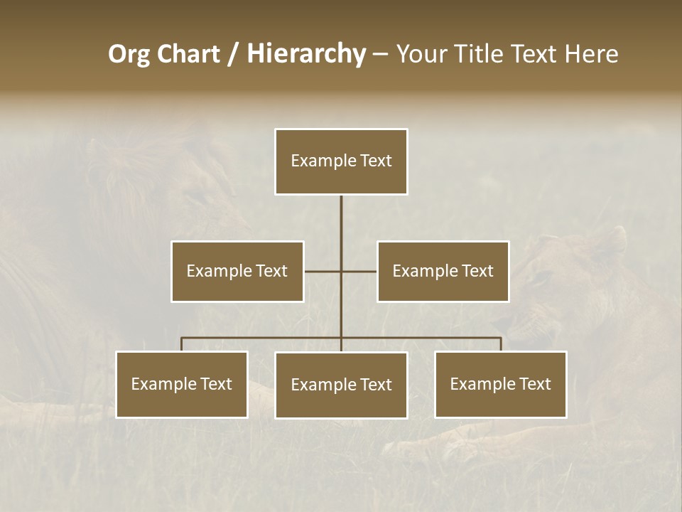 Cacciatrice Leoni PowerPoint Template