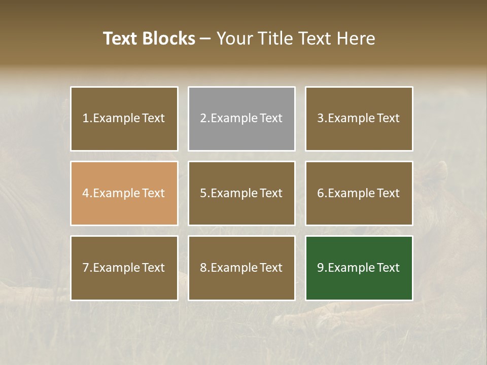 Cacciatrice Leoni PowerPoint Template