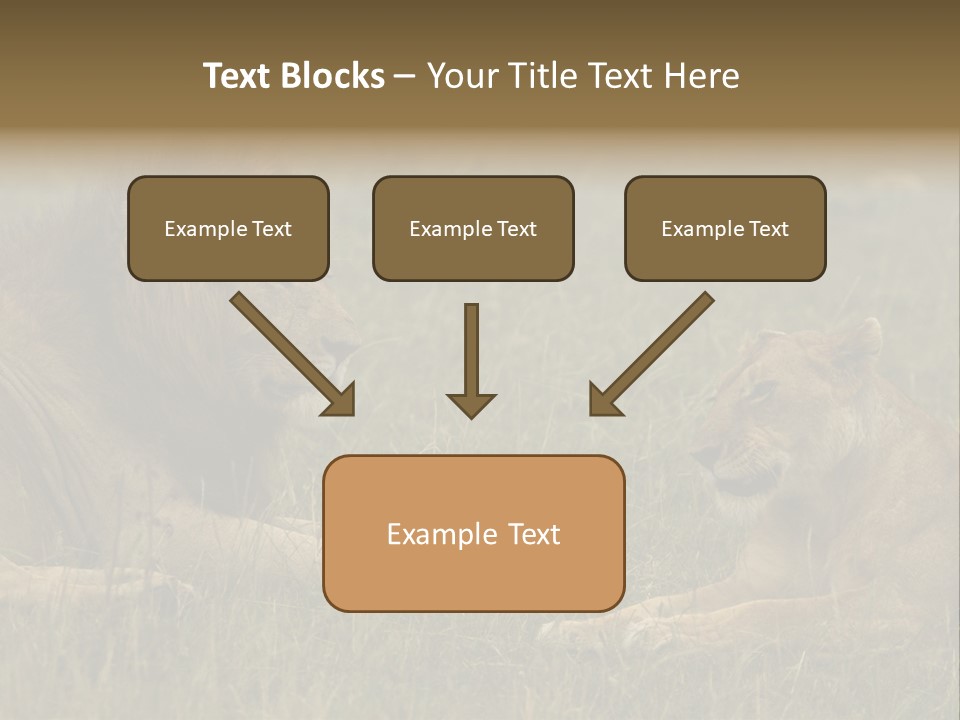 Cacciatrice Leoni PowerPoint Template