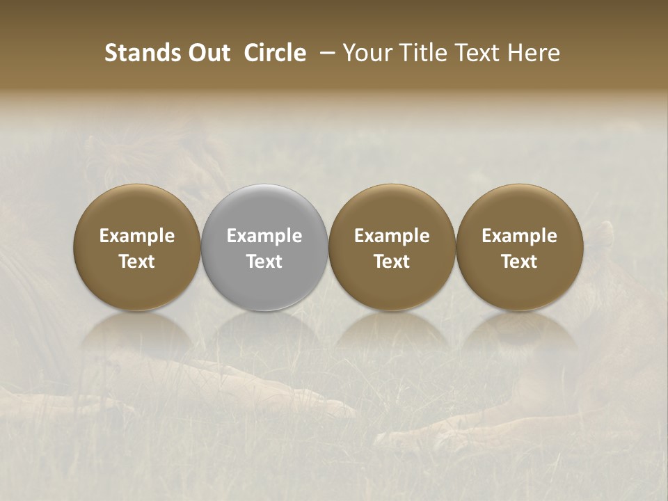 Cacciatrice Leoni PowerPoint Template