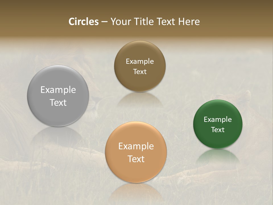 Cacciatrice Leoni PowerPoint Template