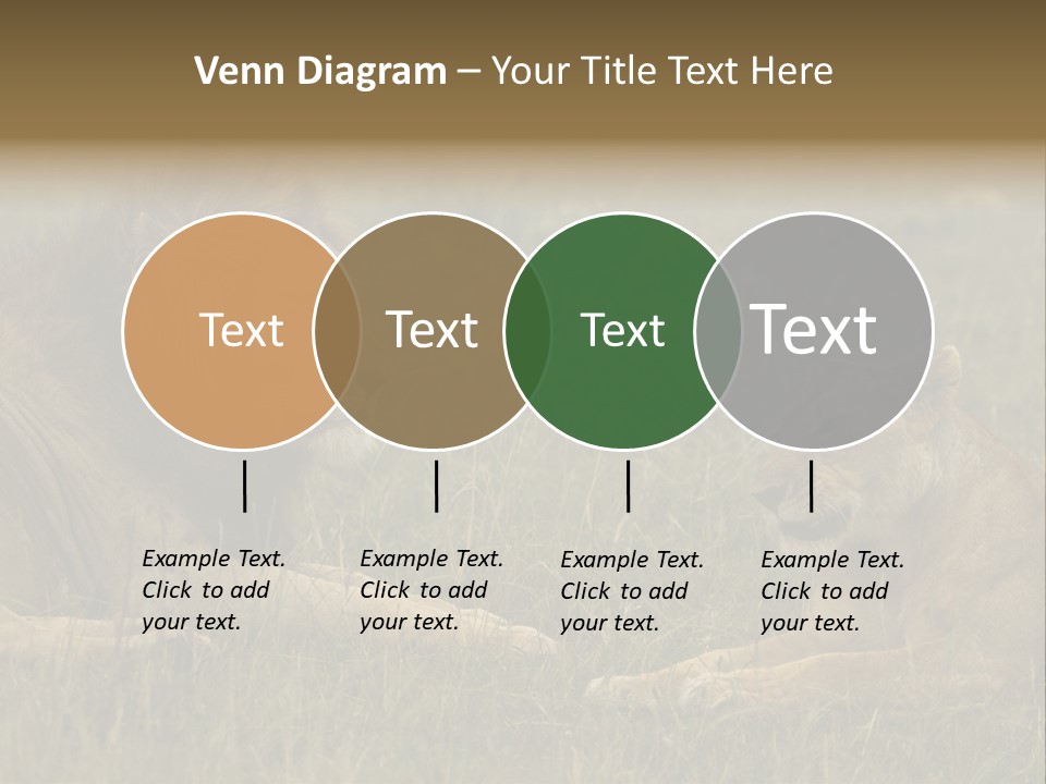 Cacciatrice Leoni PowerPoint Template