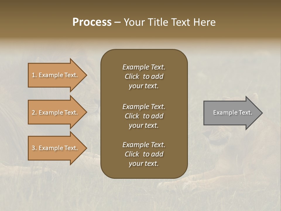 Cacciatrice Leoni PowerPoint Template