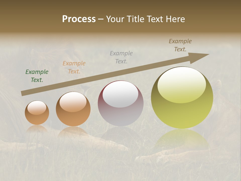 Cacciatrice Leoni PowerPoint Template