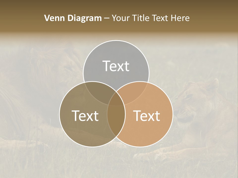 Cacciatrice Leoni PowerPoint Template