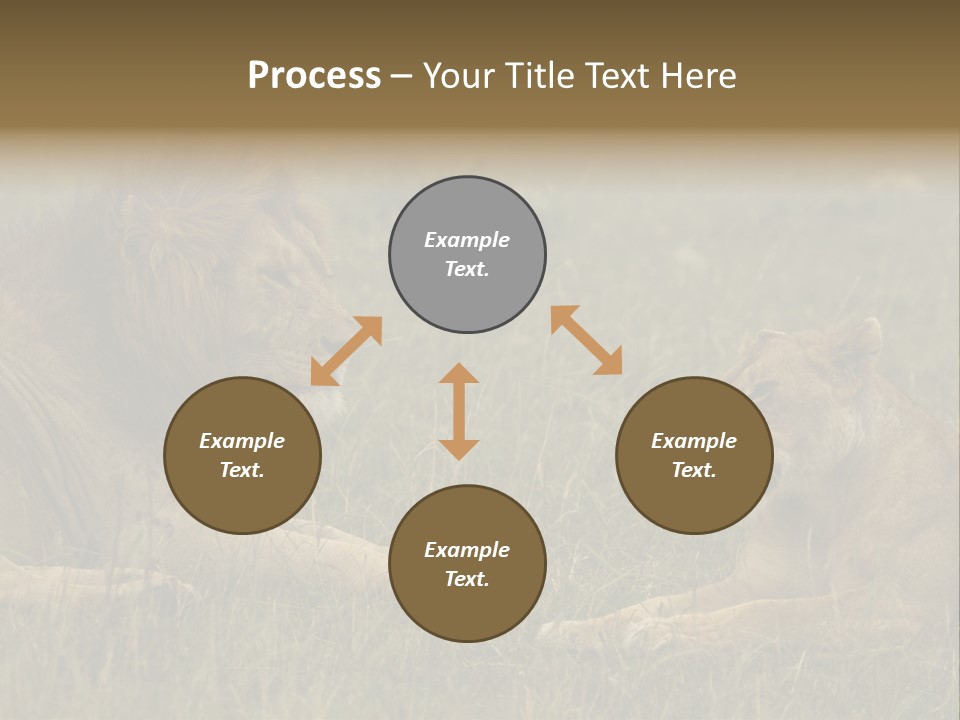 Cacciatrice Leoni PowerPoint Template