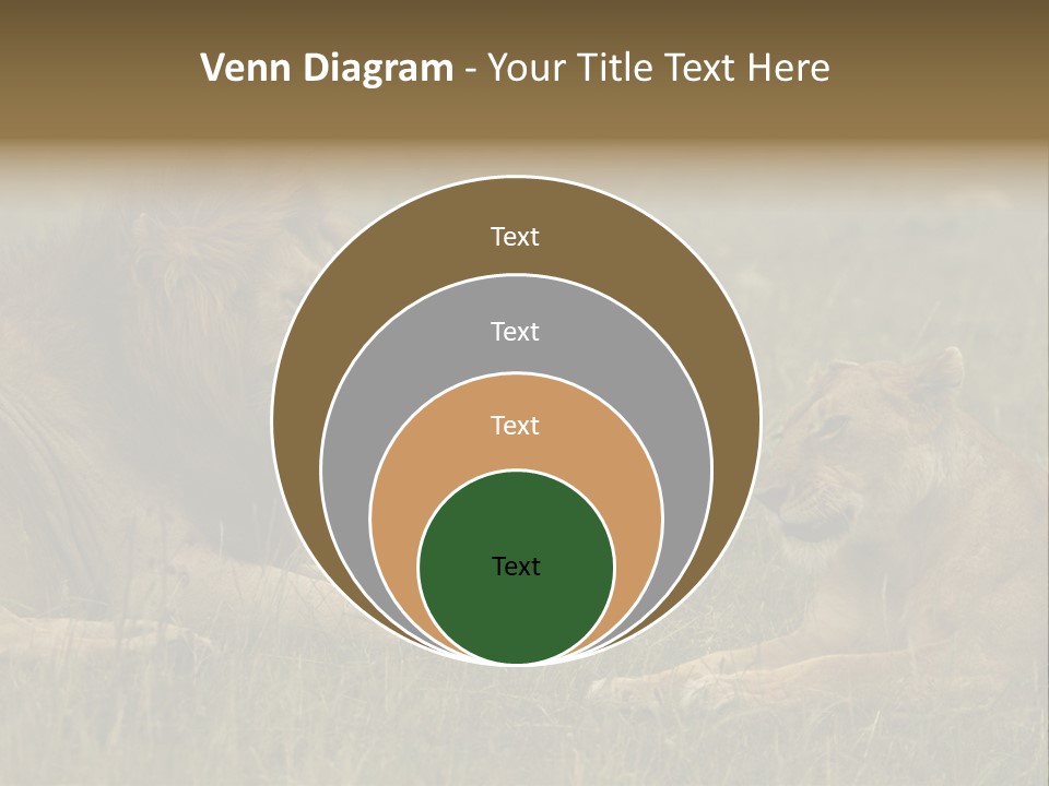 Cacciatrice Leoni PowerPoint Template