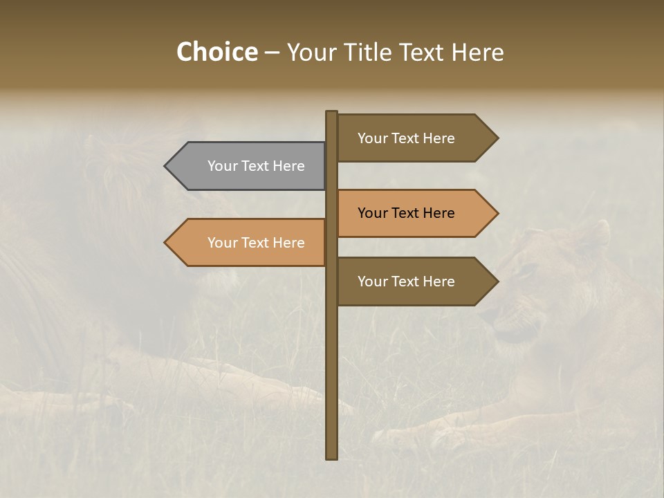 Cacciatrice Leoni PowerPoint Template
