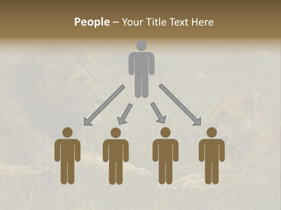 Cacciatrice Leoni PowerPoint Template