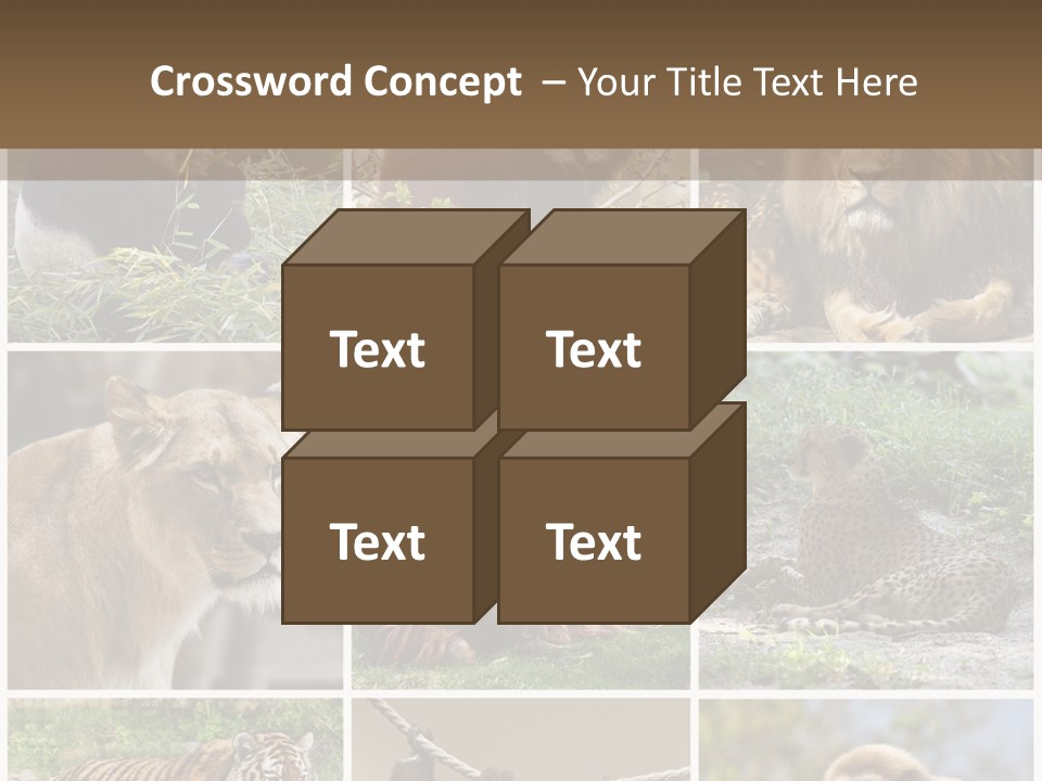 Funny Lion Siberian PowerPoint Template