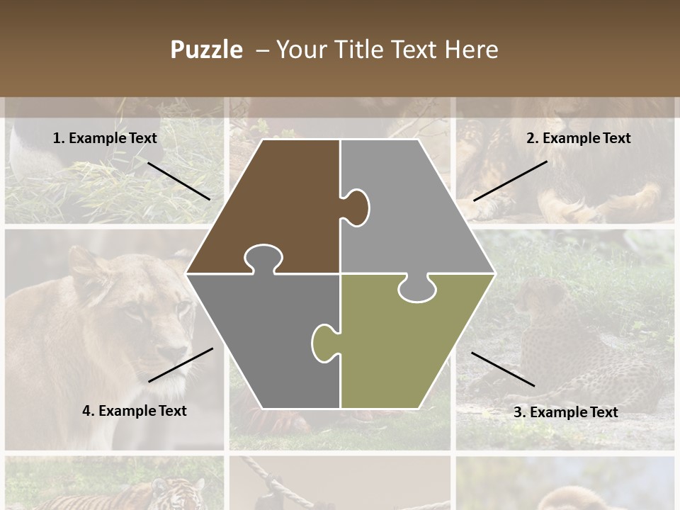 Funny Lion Siberian PowerPoint Template