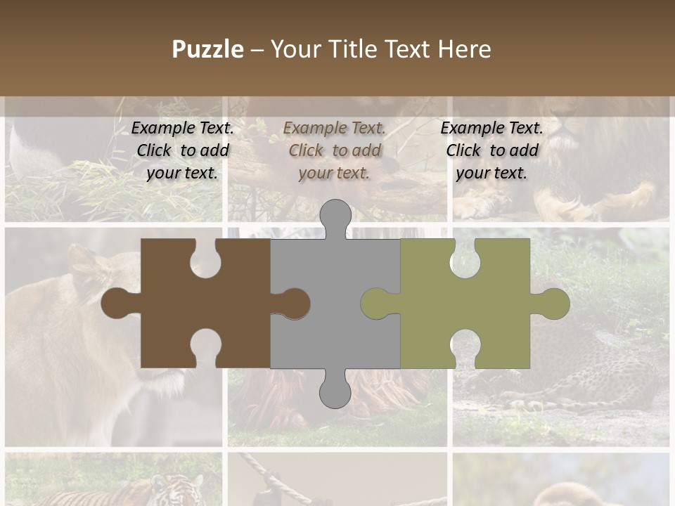 Funny Lion Siberian PowerPoint Template