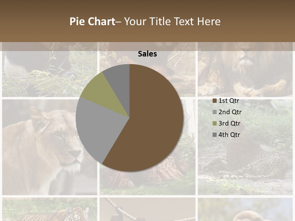 Funny Lion Siberian PowerPoint Template