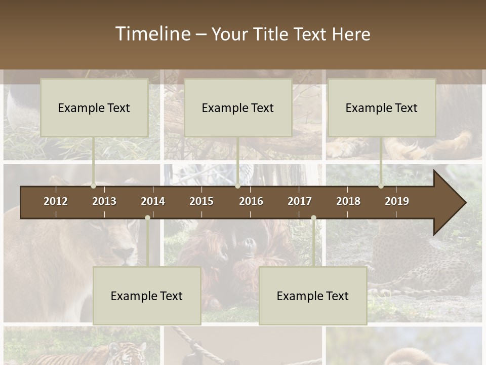 Funny Lion Siberian PowerPoint Template