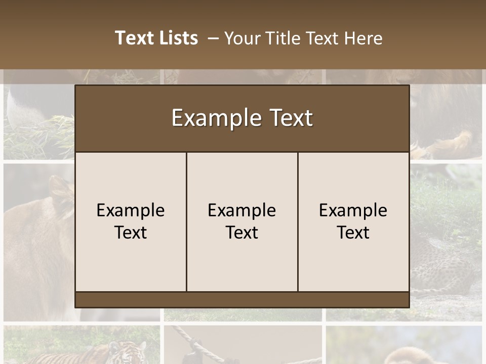 Funny Lion Siberian PowerPoint Template