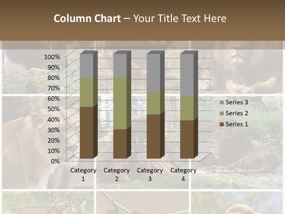 Funny Lion Siberian PowerPoint Template