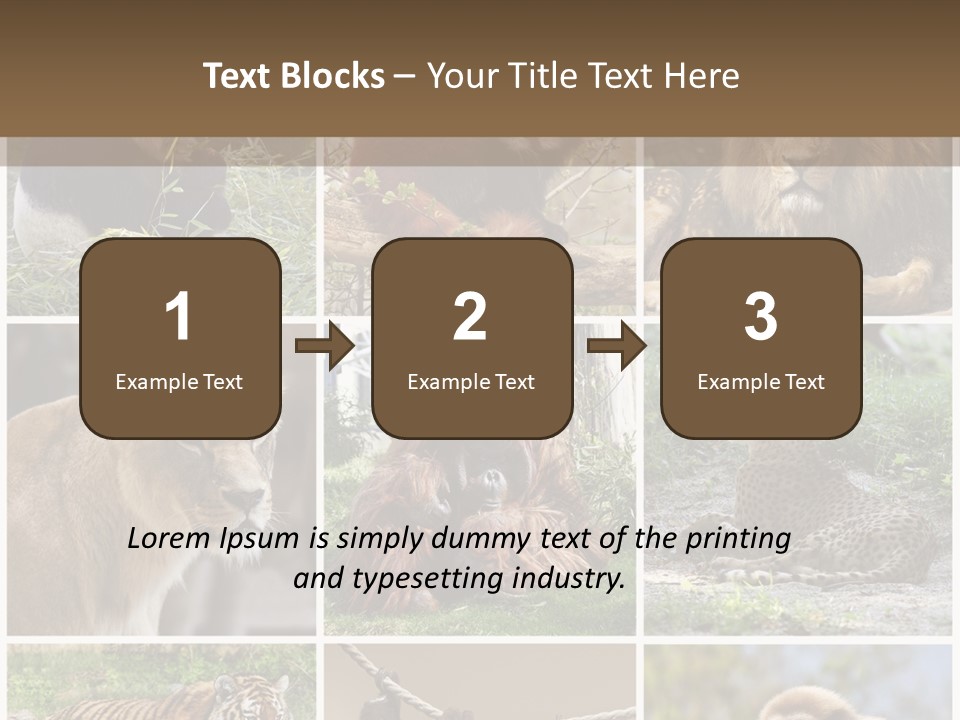 Funny Lion Siberian PowerPoint Template