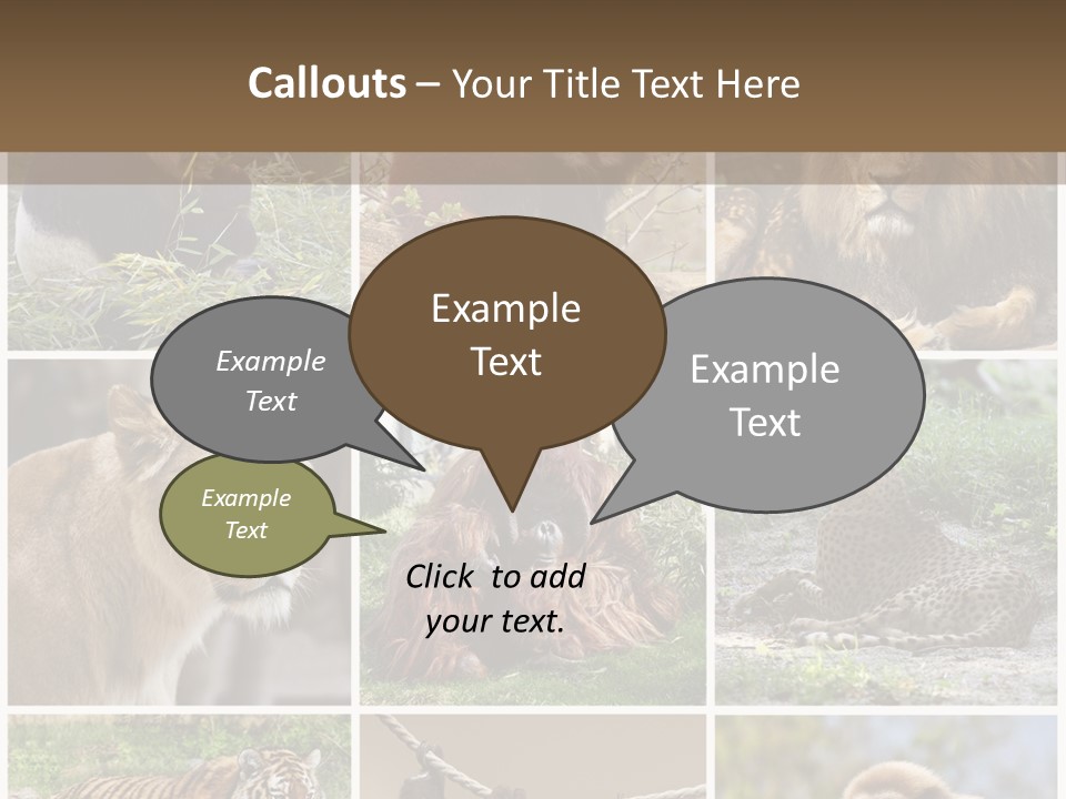 Funny Lion Siberian PowerPoint Template