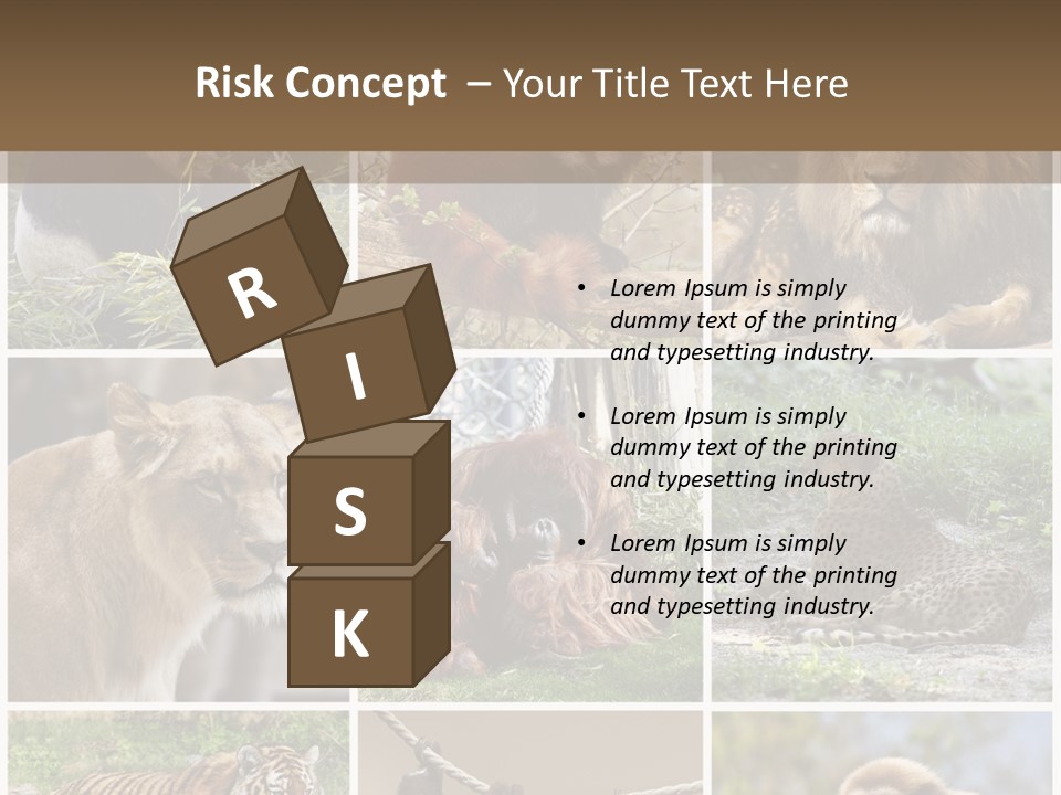 Funny Lion Siberian PowerPoint Template