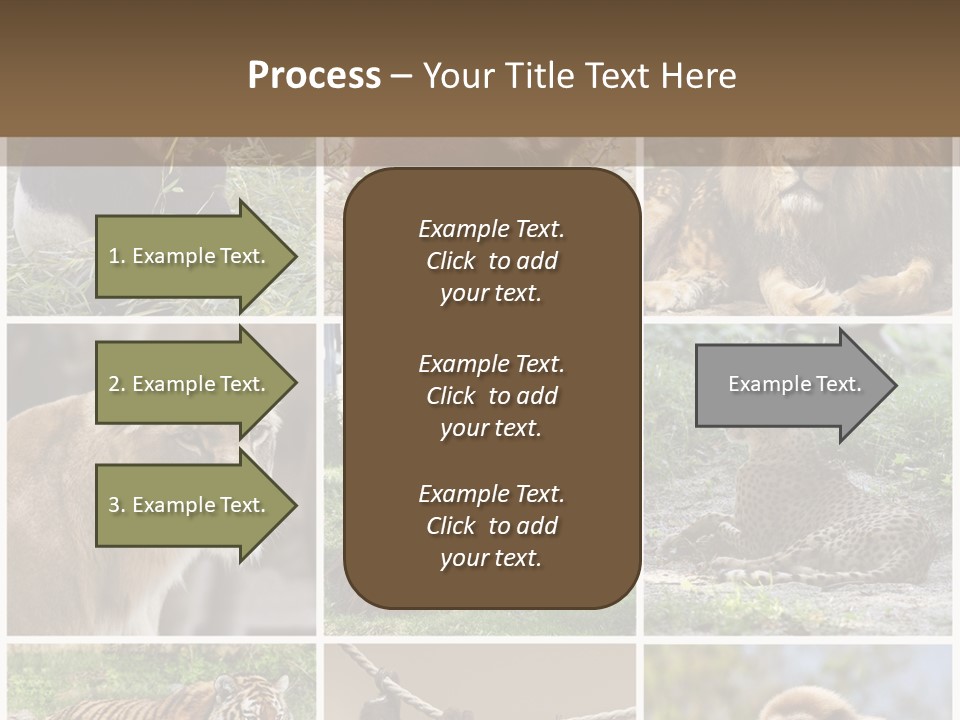 Funny Lion Siberian PowerPoint Template