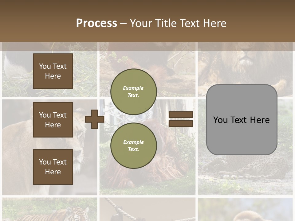 Funny Lion Siberian PowerPoint Template