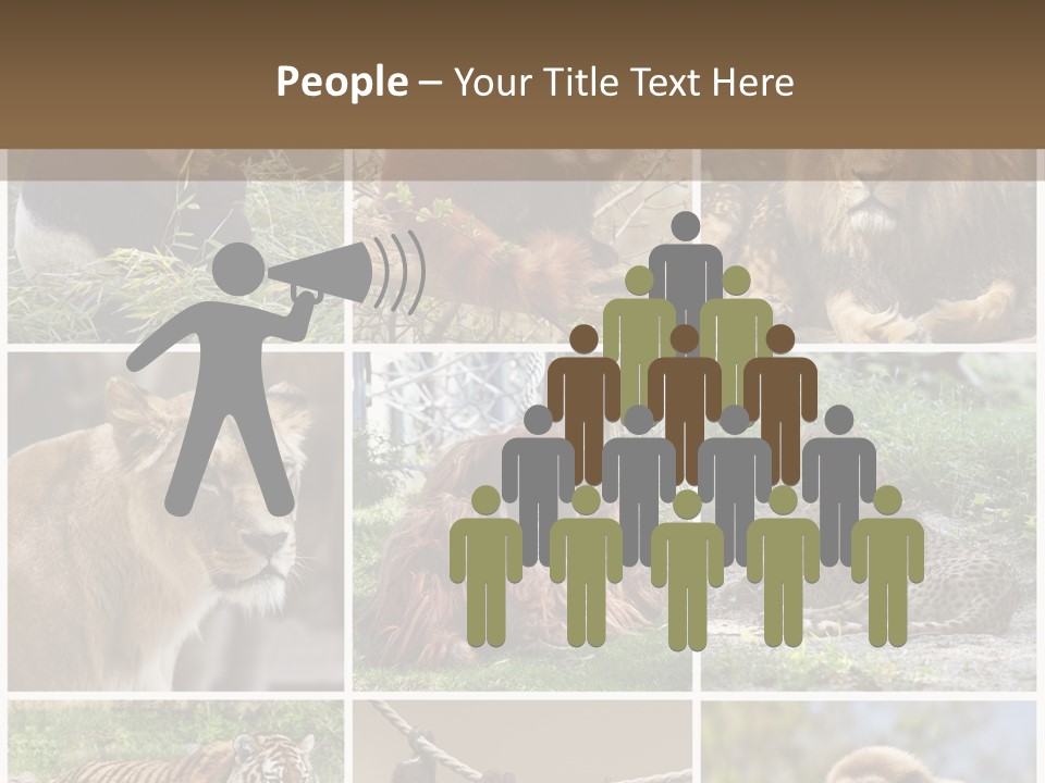 Funny Lion Siberian PowerPoint Template