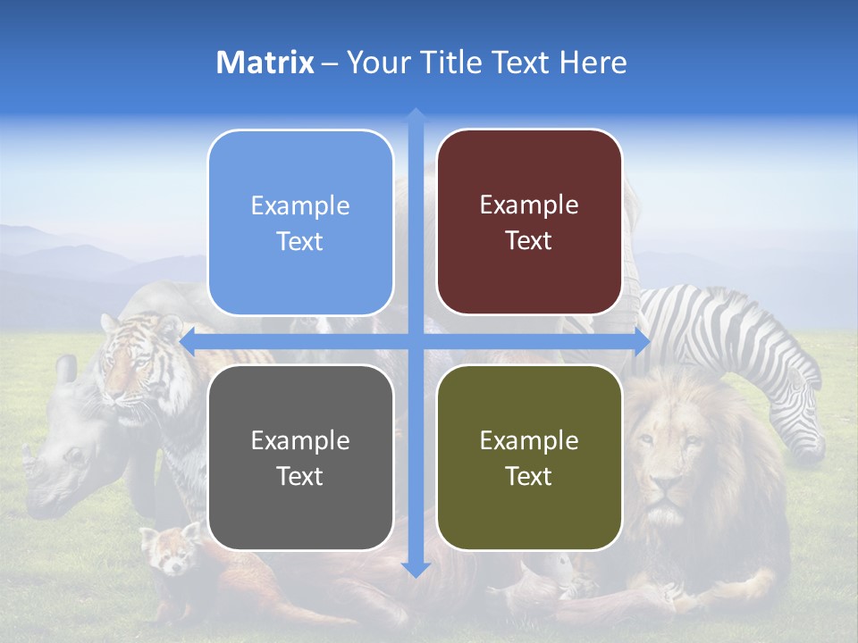 Vacation Environmental Red Panda PowerPoint Template