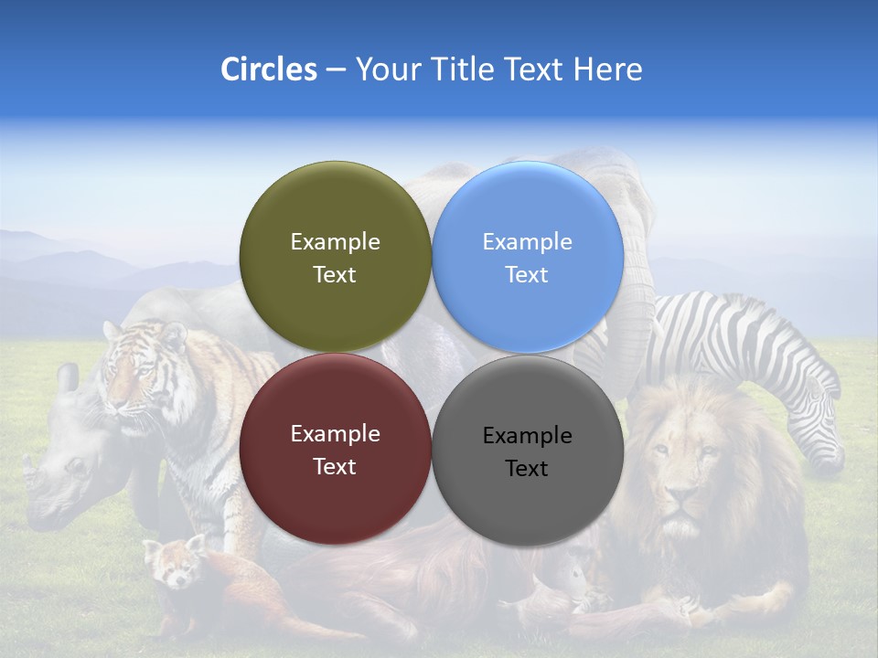 Vacation Environmental Red Panda PowerPoint Template