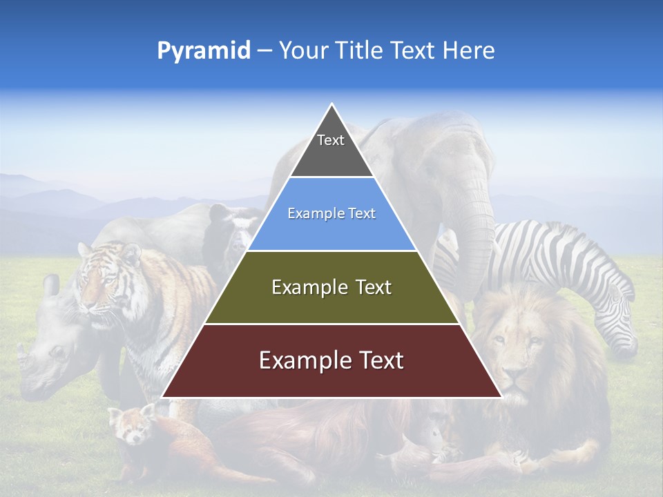 Vacation Environmental Red Panda PowerPoint Template