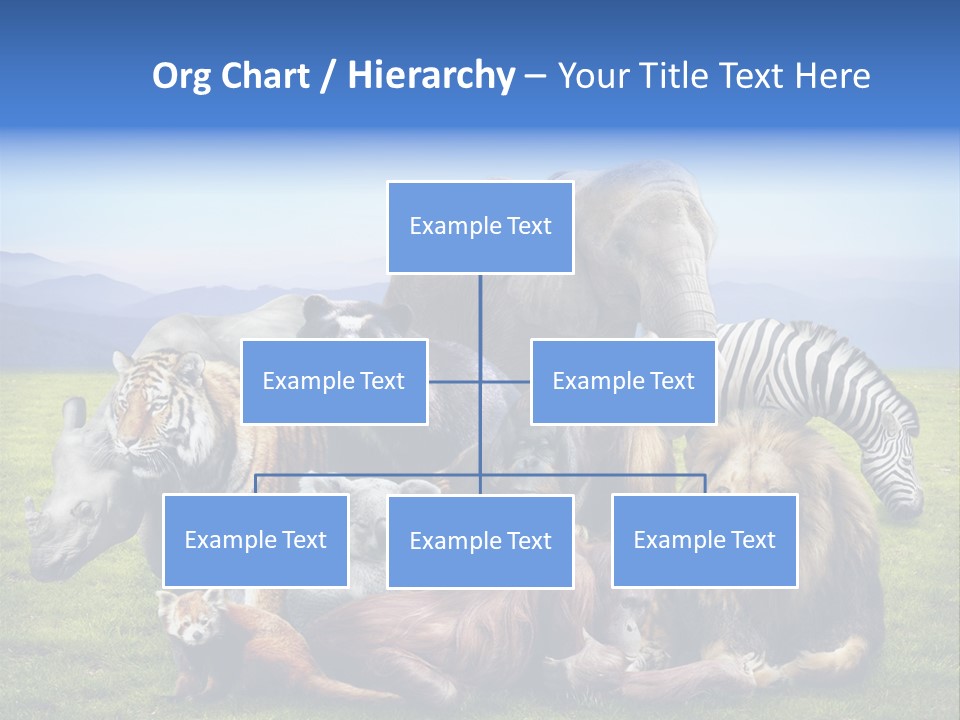 Vacation Environmental Red Panda PowerPoint Template