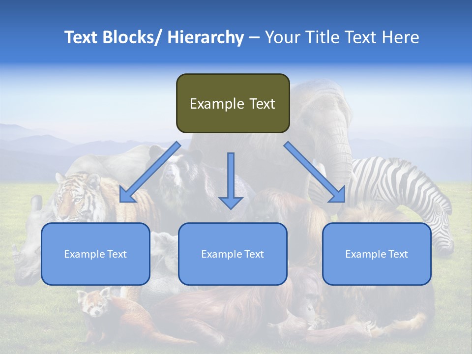 Vacation Environmental Red Panda PowerPoint Template