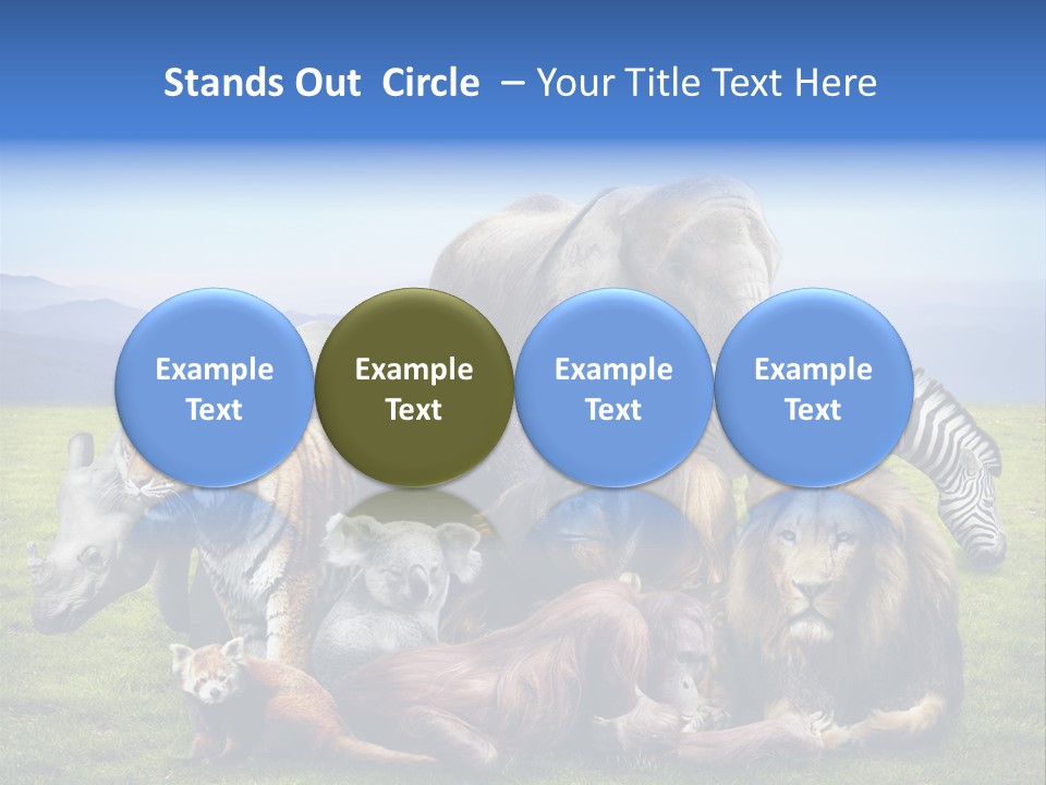 Vacation Environmental Red Panda PowerPoint Template