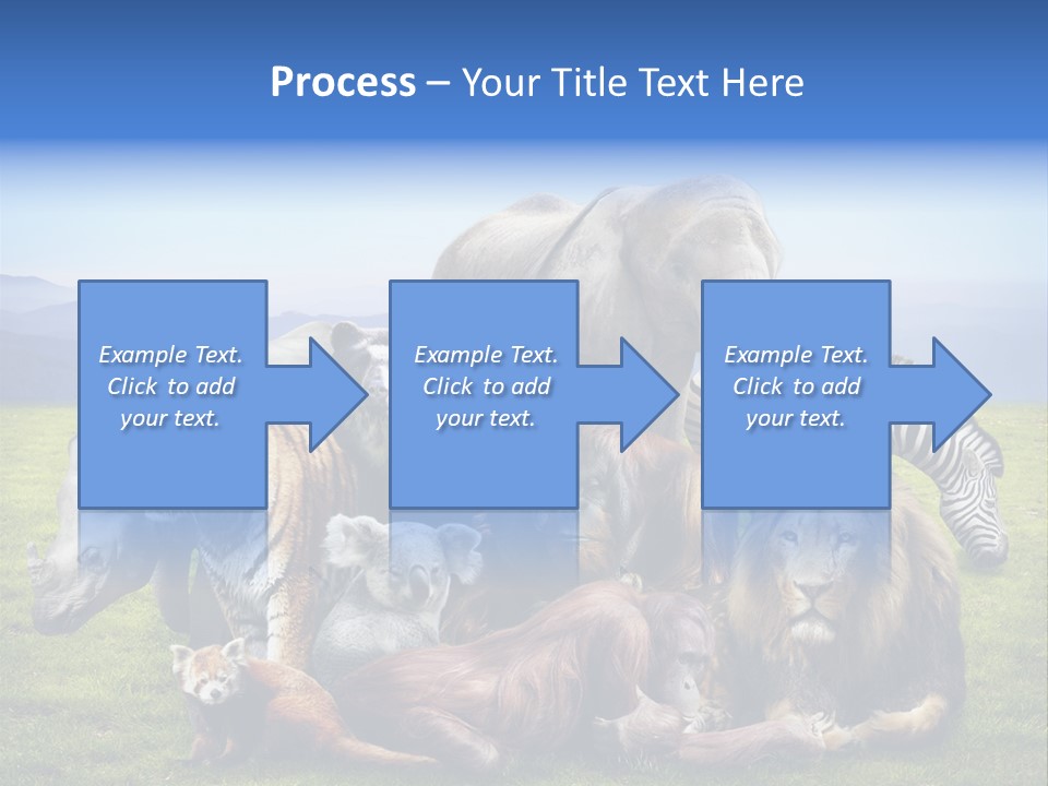 Vacation Environmental Red Panda PowerPoint Template